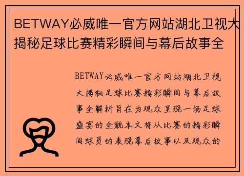 BETWAY必威唯一官方网站湖北卫视大揭秘足球比赛精彩瞬间与幕后故事全解析