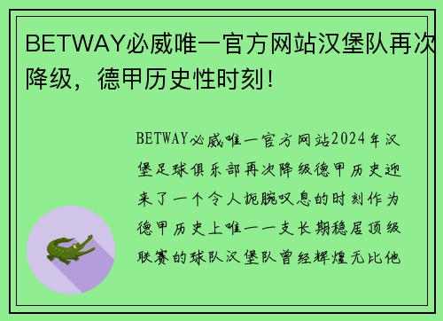 BETWAY必威唯一官方网站汉堡队再次降级，德甲历史性时刻！